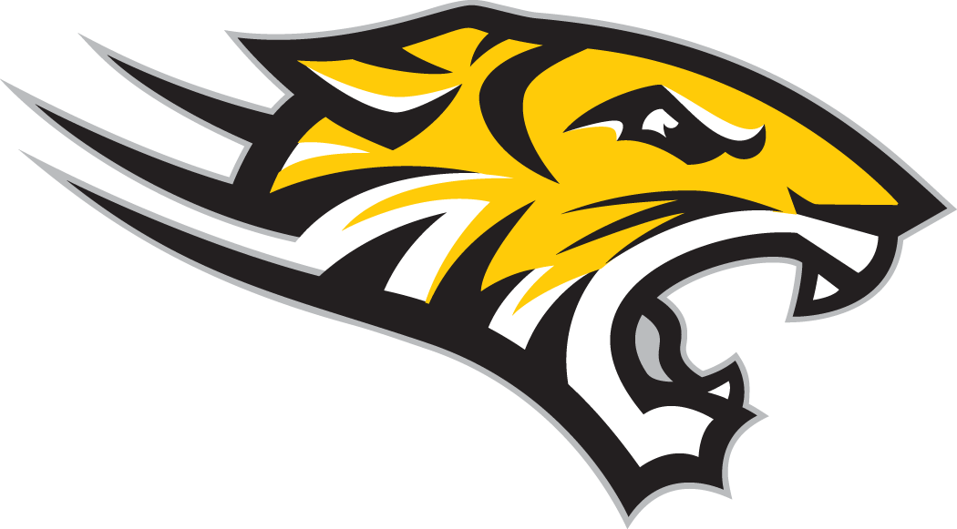Towson Tigers 2004-Pres Alternate Logo v4 iron on transfers for fabric